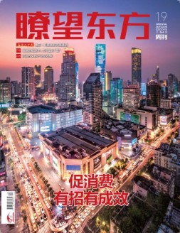 瞭望东方周刊 22年第19期