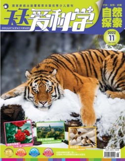 天天爱科学 22年11月号
