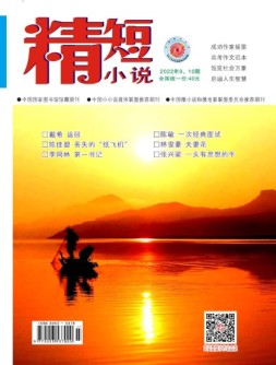 精短小说 22年第9-10期