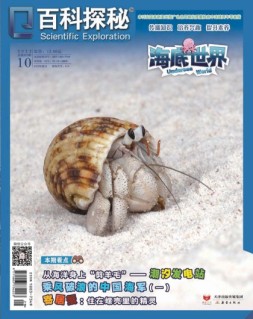 百科探秘·海底世界 22年10月号