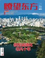 瞭望东方周刊 22年第21期