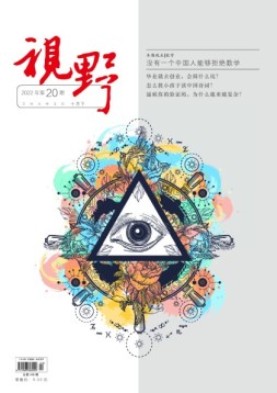 视野 22年第20期