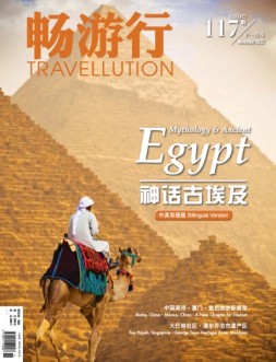 畅游行 22年11月号
