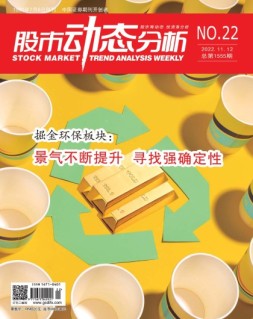股市动态分析 22年第22期