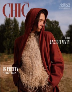 小资CHIC Tastyle 22年11月号