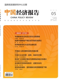 中国经济报告 22年第5期