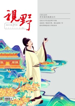 视野 22年第21期