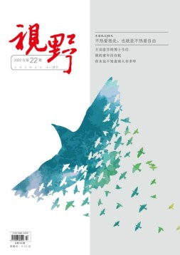 视野 22年第22期