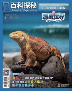百科探秘·海底世界 22年11月号