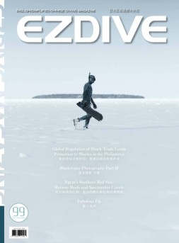 EZDIVE 22年第99期