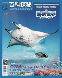 百科探秘·海底世界 22年12月号