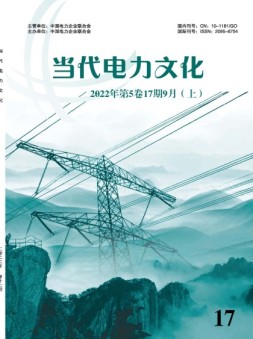 当代电力文化 22年第17期