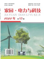 家园·电力与科技 22年第17期