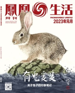 凤凰生活 23年1月号
