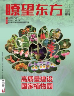 瞭望东方周刊 23年第8期