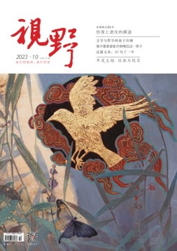视野 23年第10期