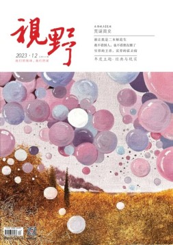视野 23年第12期