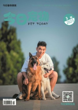 今日宠物 23年第3期