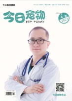 今日宠物 23年第4期