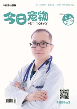 今日宠物 23年第4期