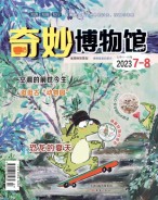 奇妙博物馆 23年7-8月号