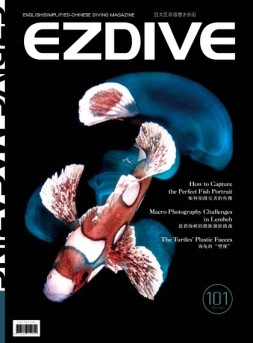EZDIVE 23年第101期