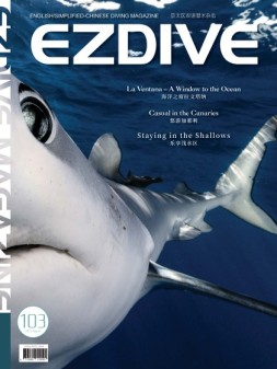 EZDIVE 23年第103期