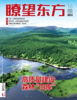 瞭望东方周刊 23年第16期