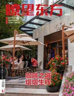 瞭望东方周刊 23年第17期