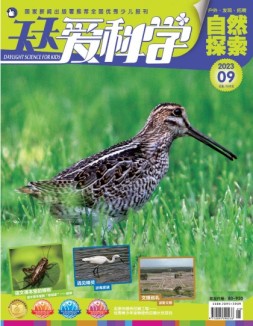 天天爱科学 23年9月号