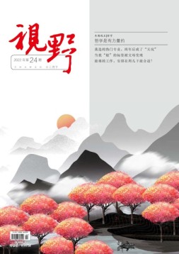 视野 22年第24期