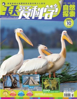 天天爱科学 23年10月号