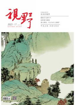 视野 23年第17期