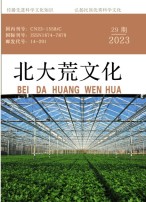 北大荒文化 23年第29期