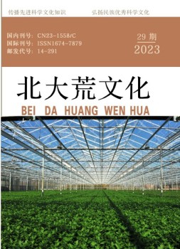 北大荒文化 23年第29期
