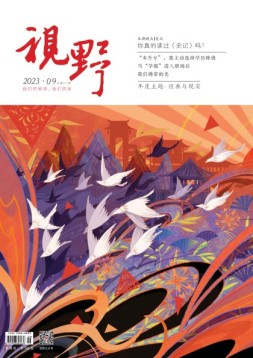 视野 23年第9期