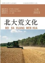 北大荒文化 23年第31期