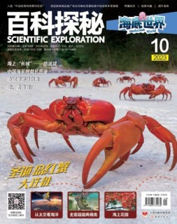 百科探秘·海底世界 23年10月号