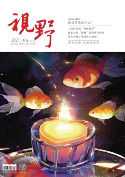 视野 23年第6期