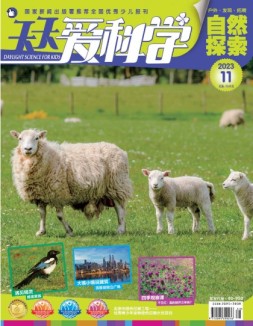 天天爱科学 23年11月号
