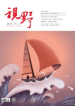 视野 23年第21期