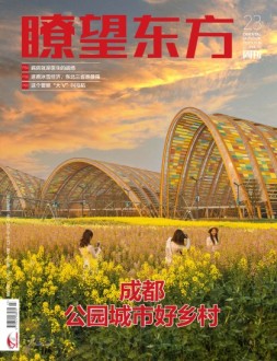 瞭望东方周刊 23年第23期