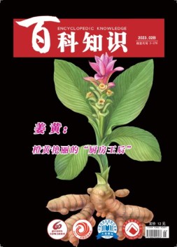 百科知识 23年2月下