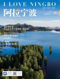 阿拉宁波 23年第5期