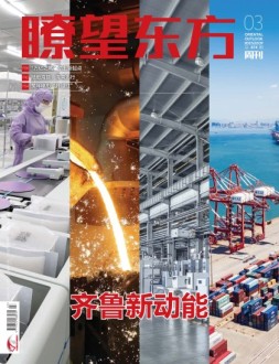 瞭望东方周刊 23年第3期
