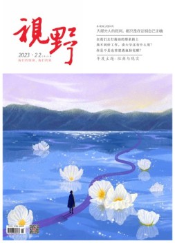 视野 23年第22期