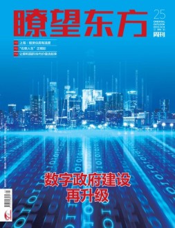瞭望东方周刊 23年第25期