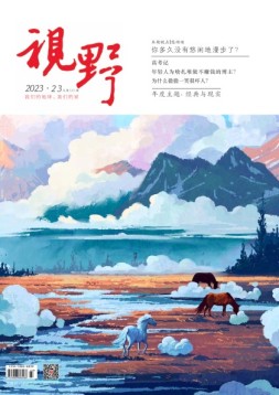 视野 23年第23期