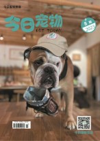 今日宠物 23年第8期
