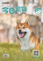 今日宠物 23年第9期